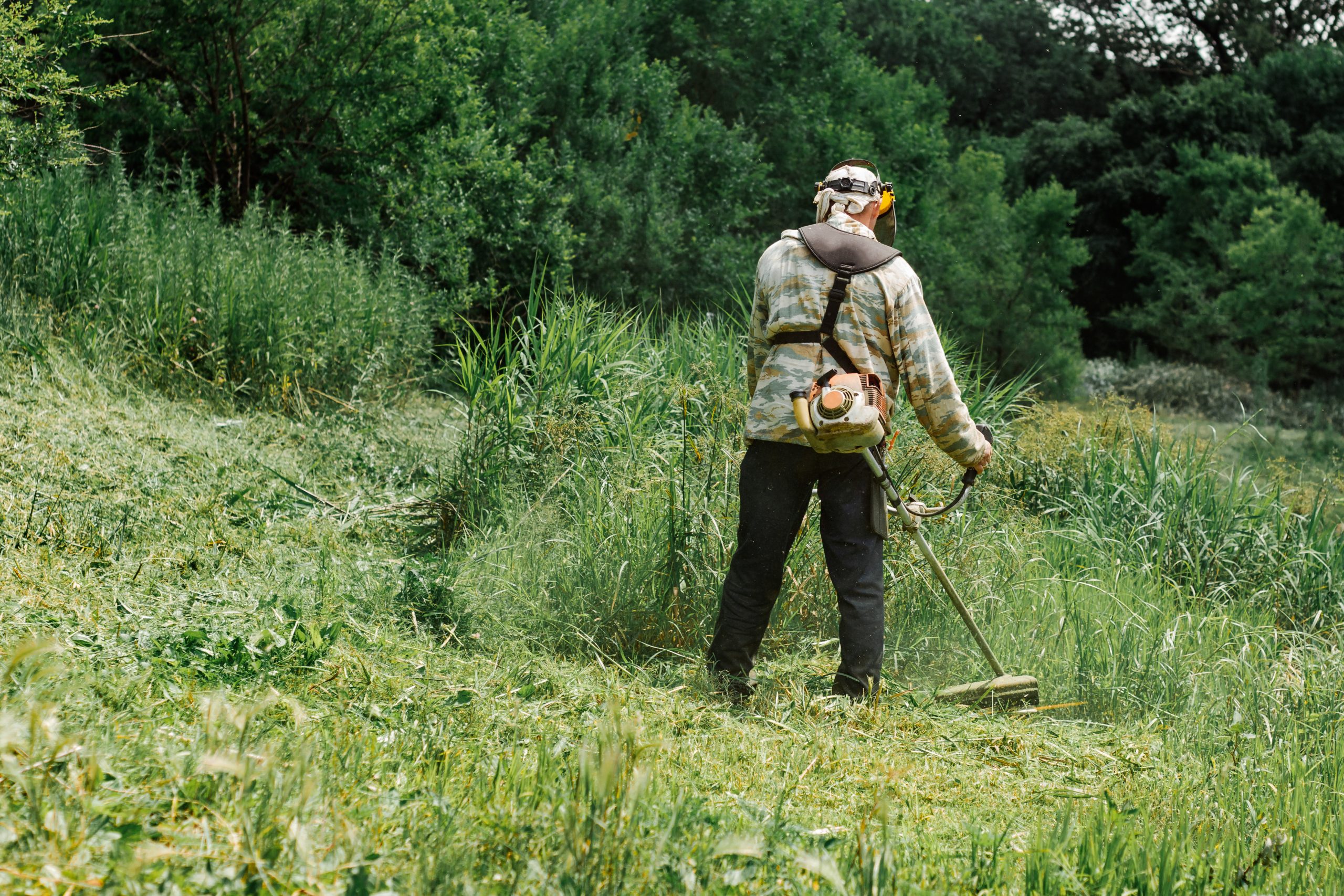 Elagueur Val-de-Marne - Débrouissaillage 94