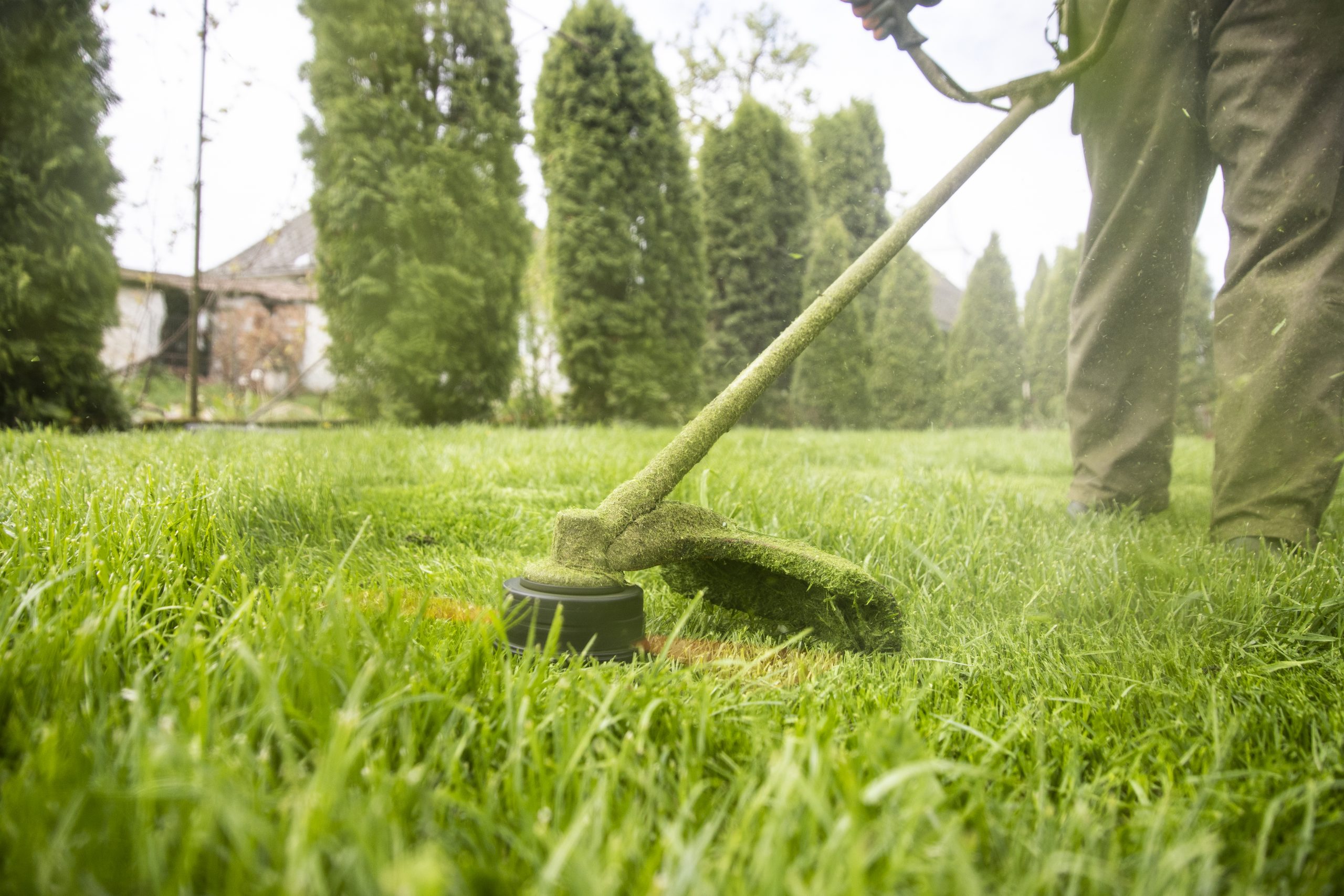 Elagueur Val-de-Marne - Débrouissaillage 94